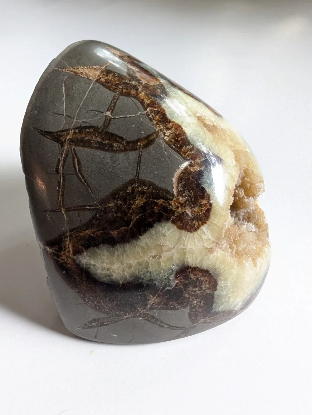 Large Septarian Nodule Stone Polished Crystal Filled